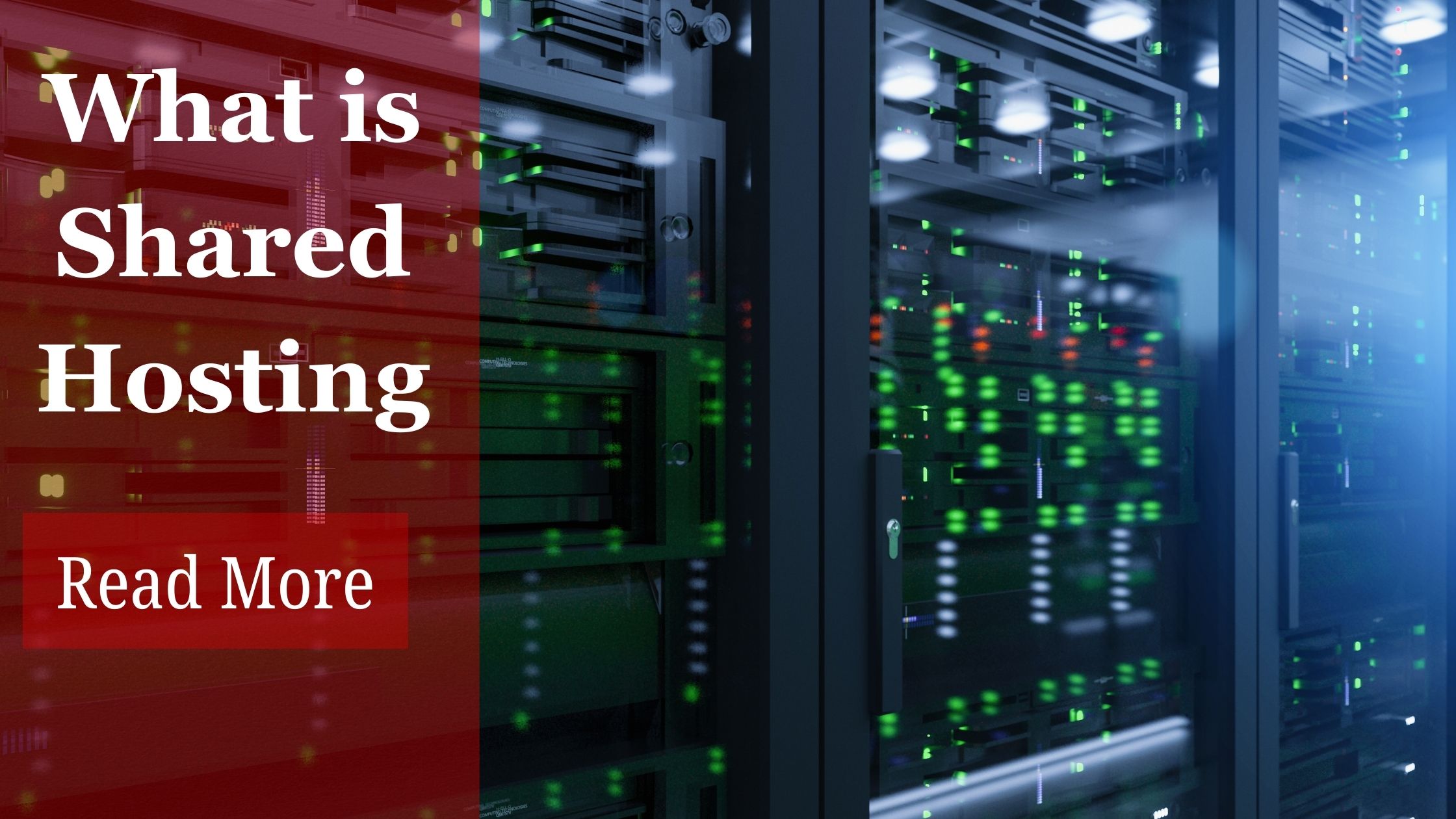 Find reliable and affordable shared hosting in India. Discover top providers like Hostingbuzz for optimal performance and security.